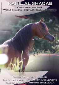 كحيل الشقب منافس بطولة كأس العالم باريس ٢٠١١