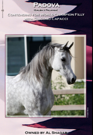 بادوفا منافسة بطولة كأس العالم باريس ٢٠١١