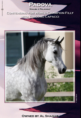 بادوفا منافسة بطولة كأس العالم باريس ٢٠١١