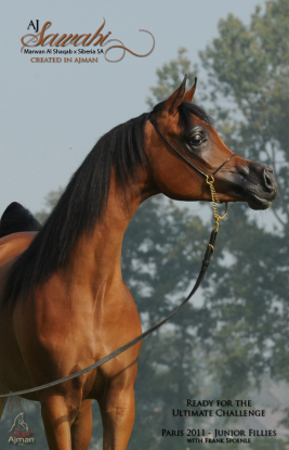 ع ج سواهي منافسة بطولة كأس العالم باريس ٢٠١١