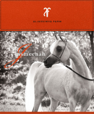 سي آر جاسميناه منافسة بطولة كأس العالم باريس ٢٠١١