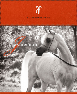 سي آر جاسميناه منافسة بطولة كأس العالم باريس ٢٠١١