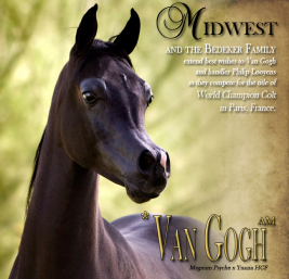 فان جوخ منافس بطولة كأس العالم باريس ٢٠١١