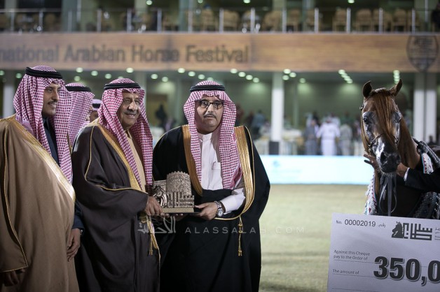 «عذبه» يحقق برونزية وفضية ويهيمن على بطولات الخيول السعودية بمهرجان الأمير سلطان العالمي 2019