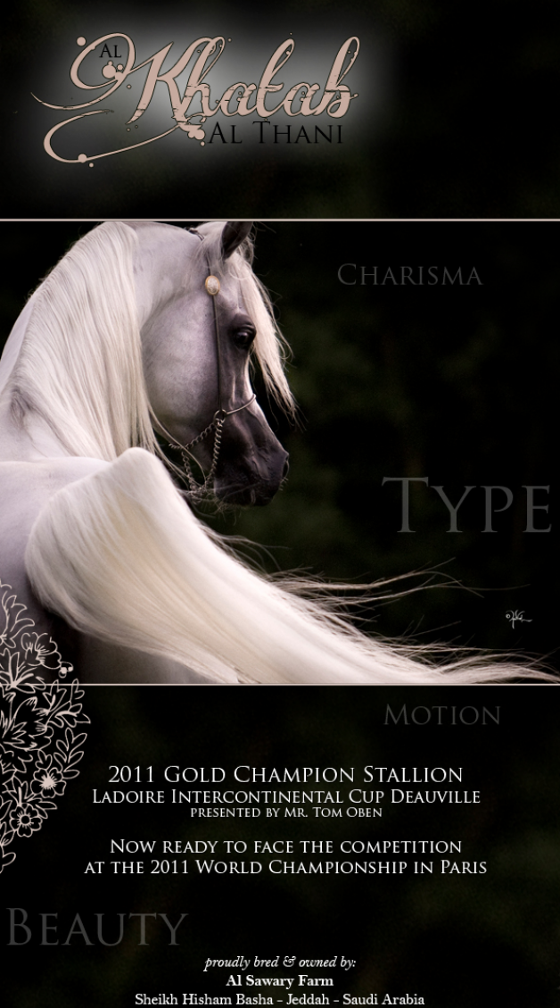 الخطاب الثاني منافس بطولة كأس العالم باريس ٢٠١١