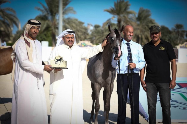 المهرة الناشئة “اس كيو دنانير” تهدي «الصقران» ذهبية المهرات عمر السنة