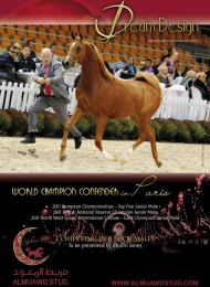 دريم ديزاين منافس بطولة كأس العالم باريس ٢٠١١