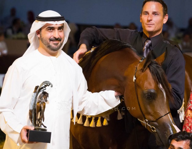 نبذة عن مزرعة خيل : مربط البداير … قصة شغف محمد بن سعود بالخيول العربية