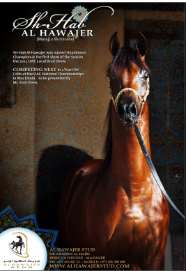 شهاب الهواجر منافس بطولة كأس العالم باريس ٢٠١١