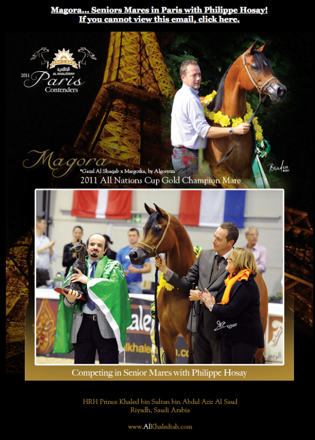 ماجورا منافس بطولة كأس العالم باريس ٢٠١١