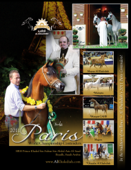 خيول الخالدية المنافسة في بطولة كأس العالم باريس ٢٠١١