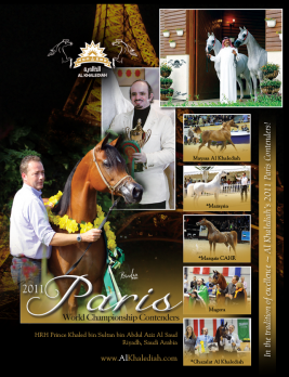 خيول الخالدية المنافسة في بطولة كأس العالم باريس ٢٠١١