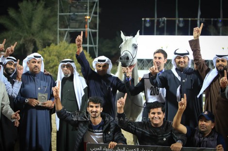 صور مقتطفة من اليوم الثاني من بطولة الكويت الدولية 2019 لجمال الخيل العربية الأصيلة