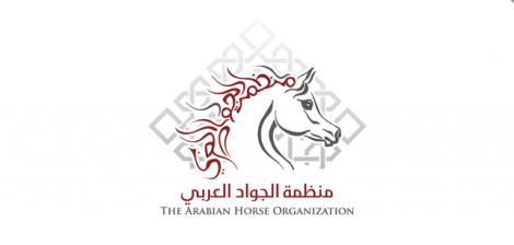 بمشاركة ٢٥٠ خيلاً “الجواد العربي” تختتم بطولة المربين للخيل العربية الرابعة بمصر