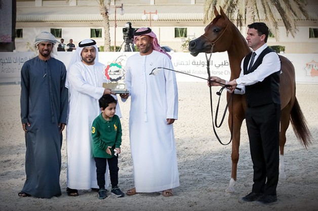 ذهبيتان وفضية لـ«عجمان» في بطولة أبوظبي الدولية 2019 