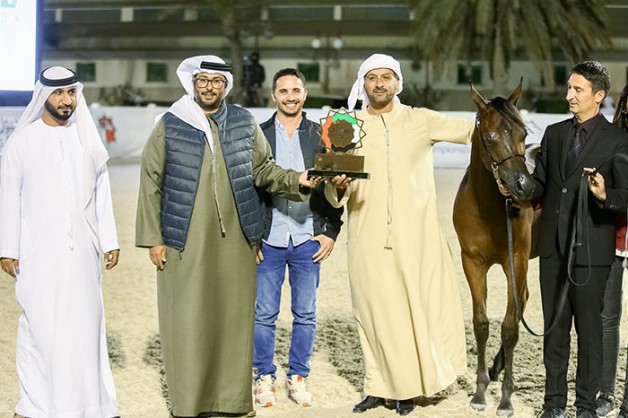 مربط دبي يحصد 5 ميداليات ملونة في أبوظبي الدولية 2019 بالإضافة الى كأس زايد