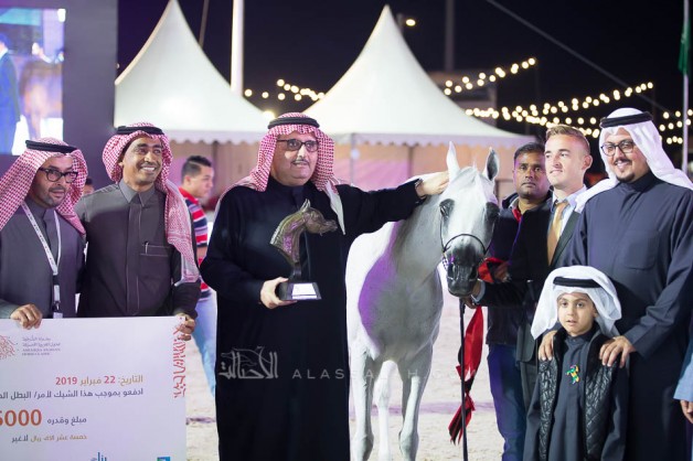 Athbah Stud horses claim 4 medals in the Asharqia Arabian Horse Classic