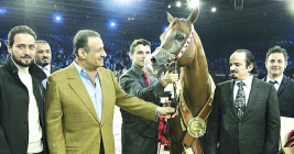 الجياد السعودية تحقق خمس ميداليات في بطولة كأس العالم لجمال الخيل العربية