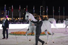 Results for the first day of the Gulf Straight Egyptian Arabian Cup 2019