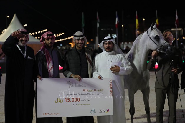 Final results of the Gulf Straight Egyptian Arabian Cup 2019