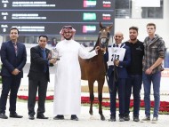 نتائج اليوم الثاني لمهرجان الشارقة الدولي للجواد العربي 2019