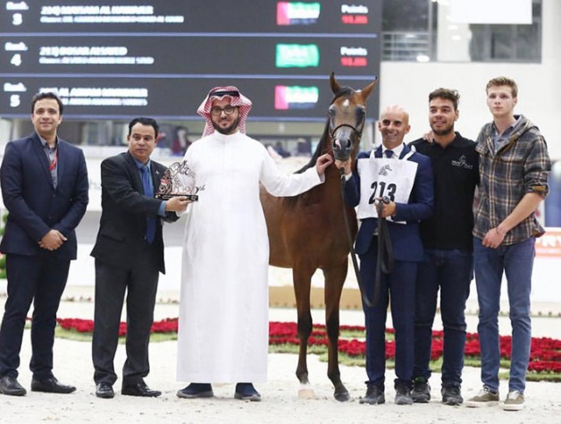 نتائج اليوم الثاني لمهرجان الشارقة الدولي للجواد العربي 2019