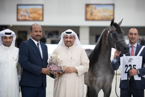 صور مقتطفة من اليوم الثالث لمهرجان الشارقة الدولي للجواد العربي 2019