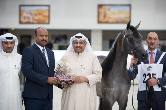 صور مقتطفة من اليوم الثالث لمهرجان الشارقة الدولي للجواد العربي 2019