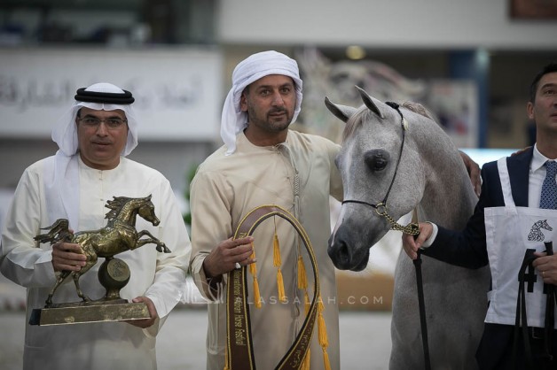 5 ميداليات ملونة لمربط دبي في ختام مهرجان الشارقة الدولي