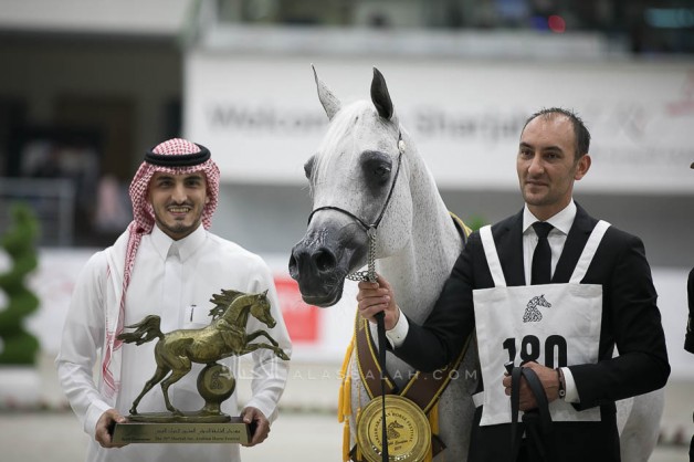 “Pepita” wins the golden medal in the Mares Championship for Akmal Stud