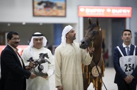 Dubai Stud collects 5 top medals at the end of the Sharjah International Arabian Horse Festival