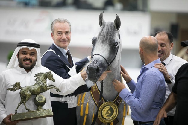 المبهر “سانداون كي ايه” يهدي مربط الصقران ذهبية الفحول بمهرجان الشارقة الدولي العشرون