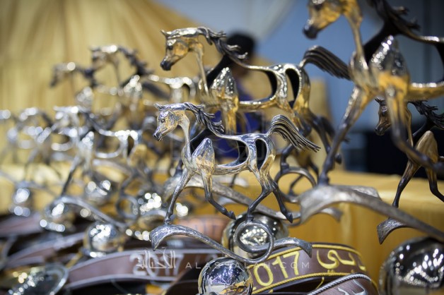 بطولة دبي الدولية للجواد العربي 2019 تنطلق يوم الخميس المقبل بمشاركة 221 خيلا