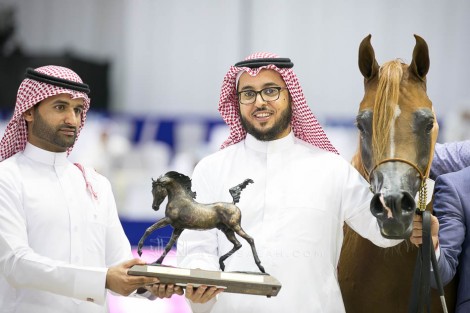 نتائج اليوم الأول لبطولة دبي الدولية ٢٠١٩ للجواد العربي