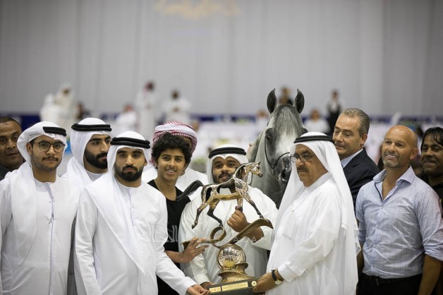 Sundown KA dominates the show to keep the Senior Stallions Championship Gold with Al Saqran Stud in DIAHC 2019