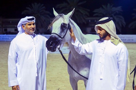 ختام فعاليات البطولة الوطنية 2019 لجمعية الإمارات للخيول العربية – النتائج النهائية