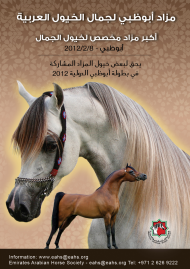 مزاد ابوظبي لجمال الخيول العربية ٢٠١٢