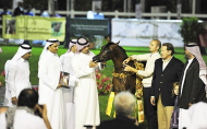 بدء التسجيل ببطولة ابوظبي الدولية لجمال الخيل العربية الأصيلة ٢٠١٢
