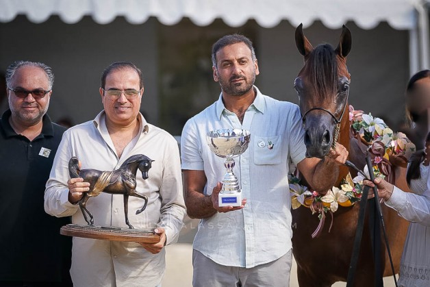 مربط دبي يتألق ويظفر بذهبيتين وفضية في بطولة منتون 2019 وسط منافسة عالمية شرسة