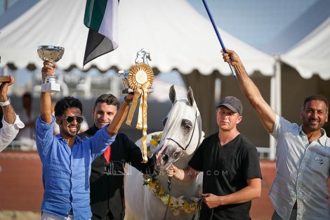 النتائج النهائية بالصور لبطولة منتون 2019 الدولية لجمال الخيل العربية الأصيلة