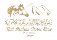 عبدالعزيز بن سعد يعتمد شعار بطولة حائل للخيل العربية 2019 ويعد بأن تكون الأهم في المنطقة