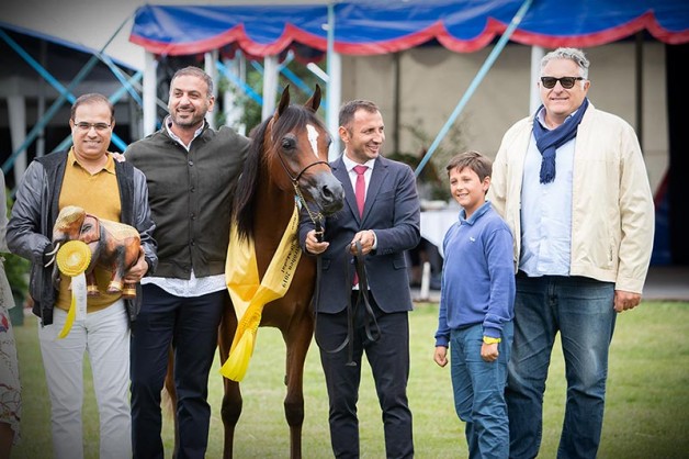 إنتاج «دبي» يهيمن على الألقاب في بطولة إستروهن ٢٠١٩ الدولية