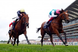 الفرس “انيبل” للأمير خالد بن عبد الله تتوج بلقب كينغ جورج للمرة الثانية على التوالي