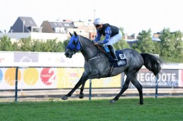 “مشهور الخالدية” من مربط عذبه يهدي السعودية لقب كأس رئيس الإمارات ببلجيكا