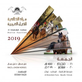 مزاد الخالدية للخيول العربية 2019 في العشرين من سبتمبر المقبل