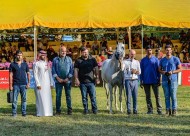 ذهبية وفضية لمربط السيد في بطولة الشرق الأوسط 2019 بالأردن