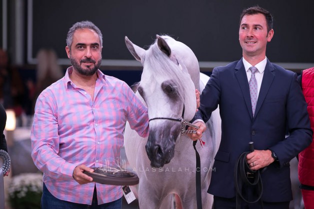 نتائج اليوم الأول لبطولة كأس كل الامم آخن 2019 لجمال الخيل العربية الأصيلة