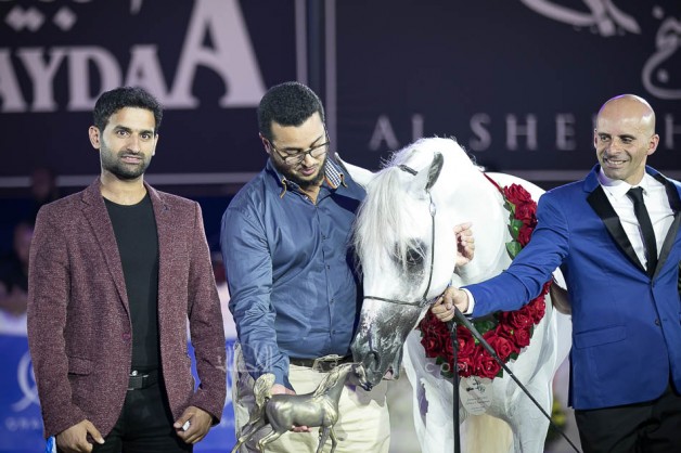 خيول «السيد» تواصل تألقها في المحافل العالمية بذهبية وفضية في بطولة كل الأمم 2019 بألمانيا