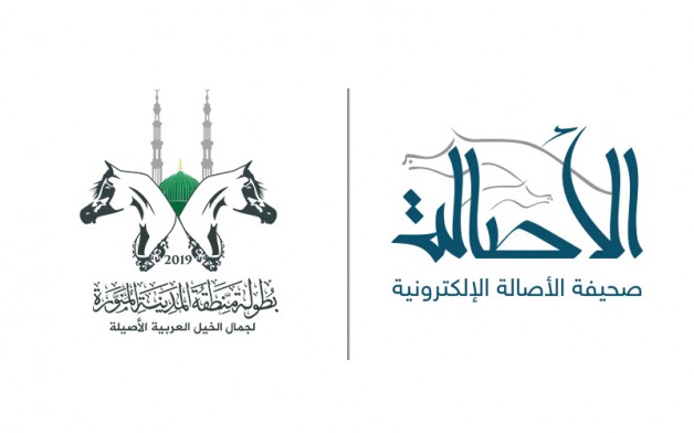 شراكة إعلامية بين الأصالة وبطولة المدينة المنورة لجمال الخيل العربية الأصيلة لعام 2019م
