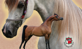 حصرياً | قائمة مزاد الجمال والأصالة في ابوظبي